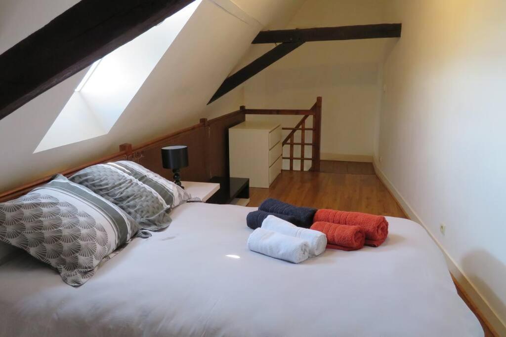 Loft De 53 M2 Centre Ville Blois,Tv Exterior photo